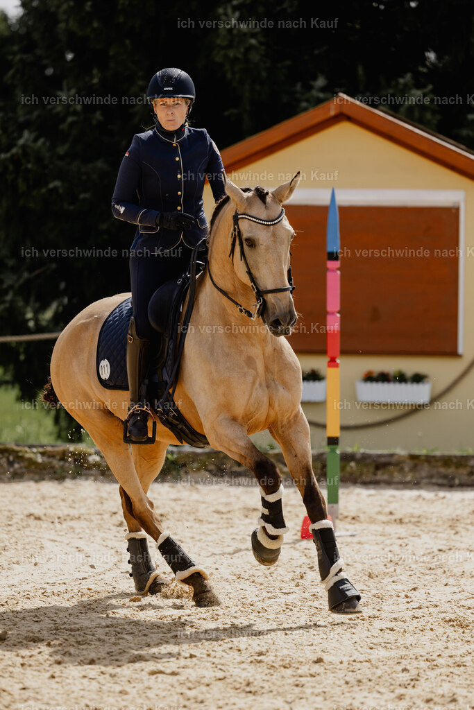 Diana11_FHC2025-20621 | working equitationturnier fotograf videograf stoibphotography marixx film working equitation deutschland reitsport turnierfotografie eventfotografie equestrian events