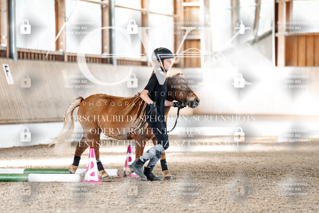 CK905251 | Turnierfotografie Pferdefotografie Trier Rheinland-Pfalz Pferdesport Reitsport Tierfotografie Sportfotografie Pferdevideo Pferdevideografie Equestrianvideography equestrianphotography  - Realisiert mit Pictrs.com