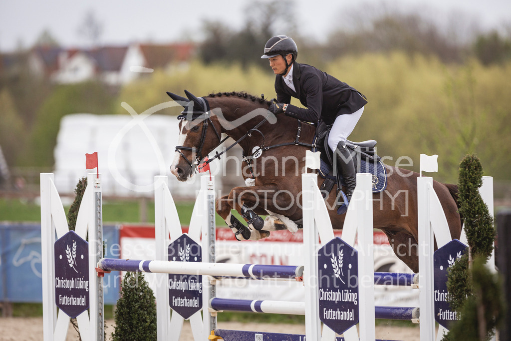 250417_Springpferde-L2-365 | Deine schönsten Turniermomente als professionelle Fotos! Entdecke hochwertige Pferdesport-Fotografie im Online-Shop. Jetzt Fotos finden & bestellen!