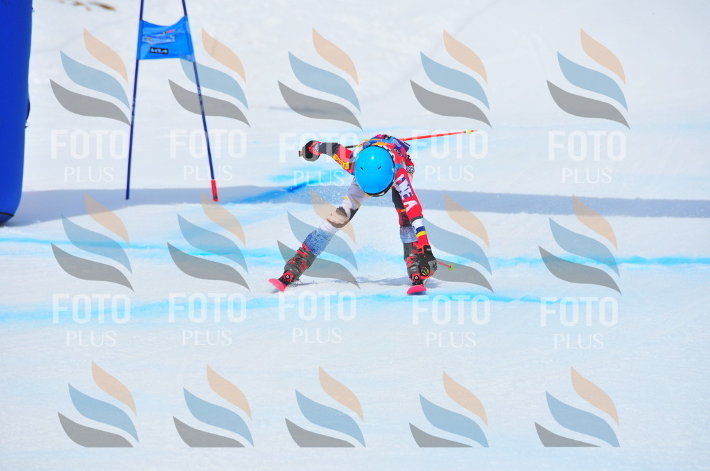 DSC_6477 | holidayphoto