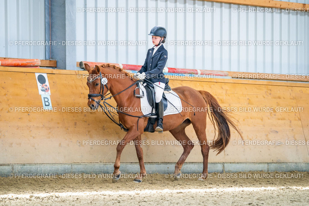 DSC03277 | Pferdegrafie