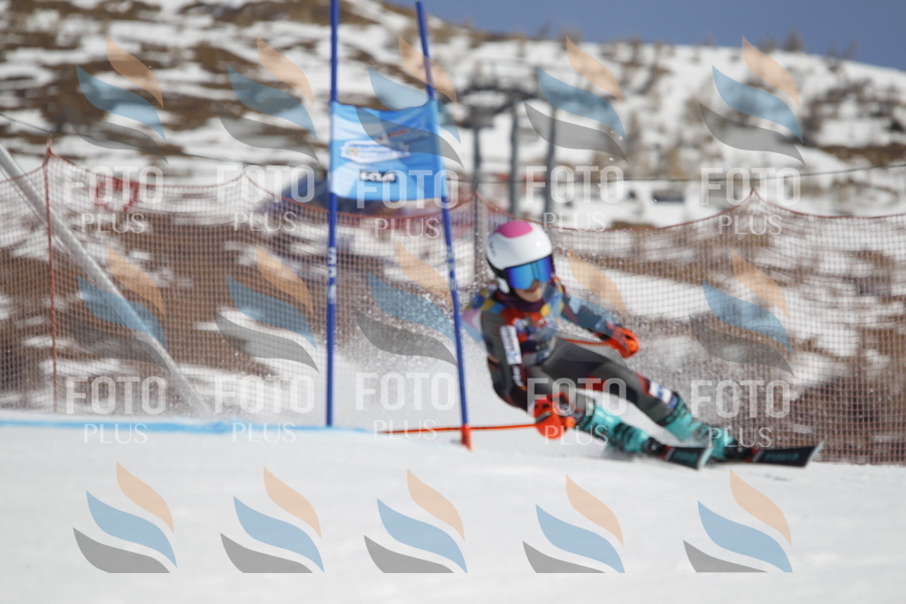 _U3G9535 | holidayphoto