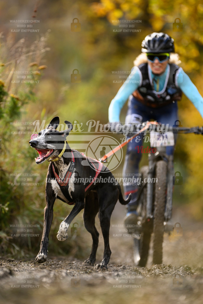 MompixPhotography_ICF_WC_2024_SA_Bike_-348 | PayLife