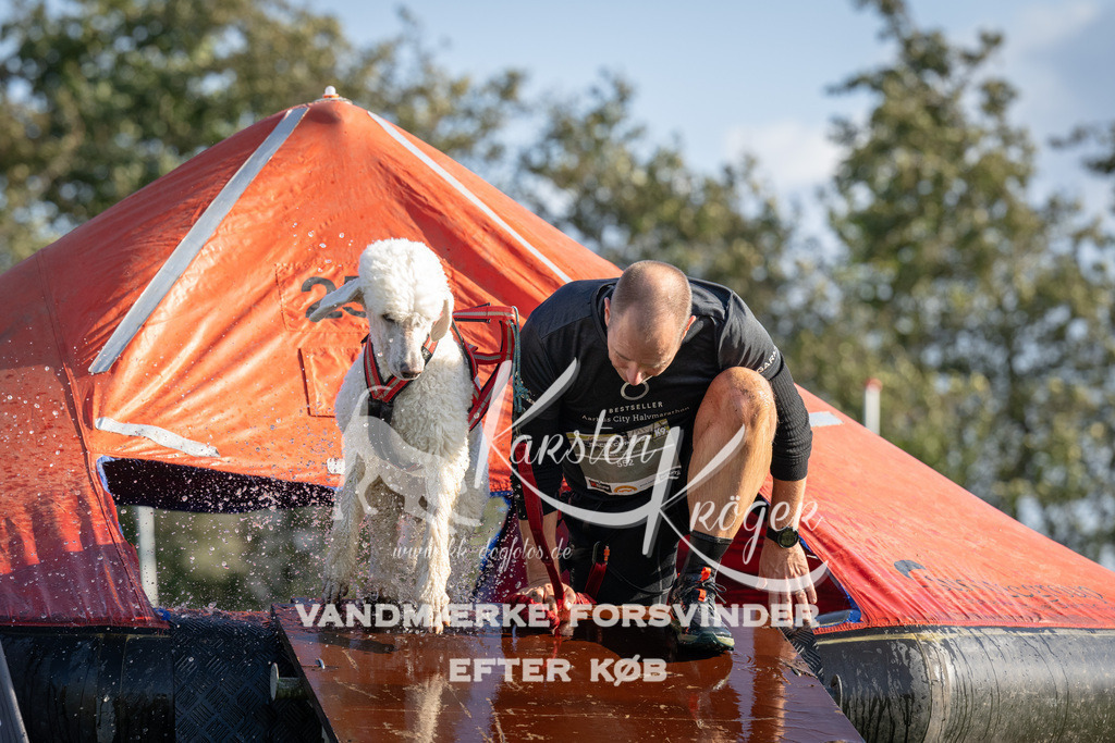 1448-90034 | kk-dogfotos