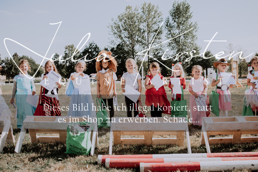 DSC_4563 | Pferde- und Turnierfotografie in Westsachsen. Pferdeportraits, Auftragszeichnungen und intuitive Kunst.