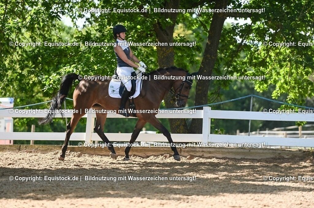20230715_06_Dressurpferdeprfg. Kl.A_0394 | equistock