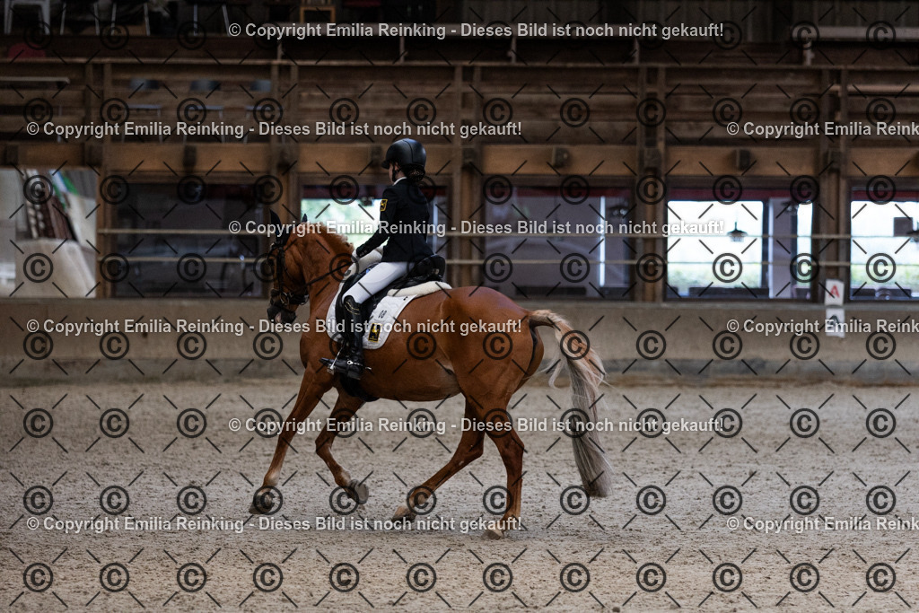 CL5A5374 | Emilia Reinking Fotografie - Realisiert mit Pictrs.com