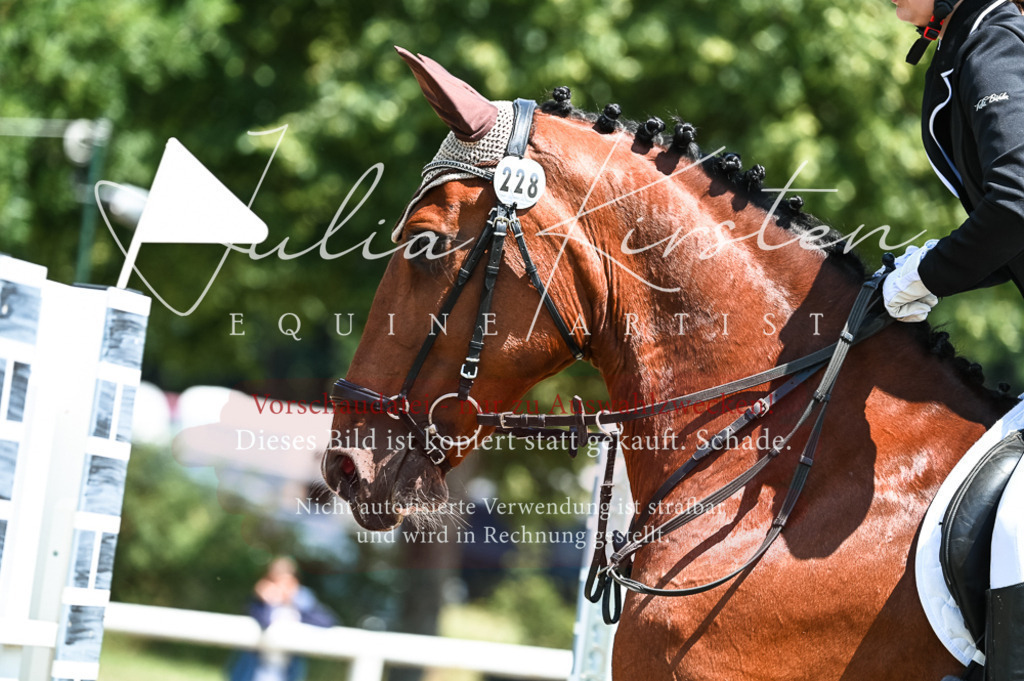 DSC_9900 | Pferde- und Turnierfotografie in Westsachsen. Pferdeportraits, Auftragszeichnungen und intuitive Kunst.