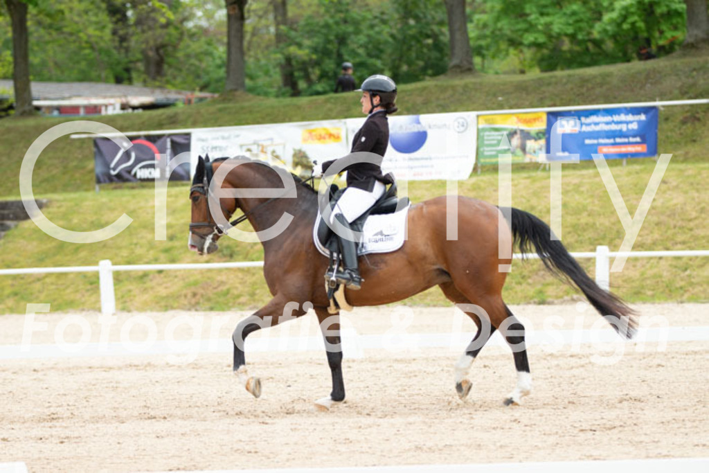 IMG_1077 | Creatify Fotografie