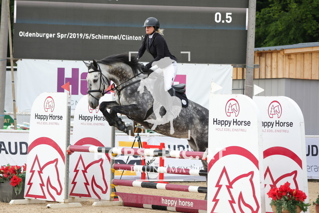 0P6A5750 | Willkommen bei Brunnmayr - Design & Fotografie – Ihrem Spezialisten für Reitturniere und Pferdeveranstaltungen in Oberösterreich, Salzburg und Bayern! Seit über 17 Jahren sind wir leidenschaftlich dabei.