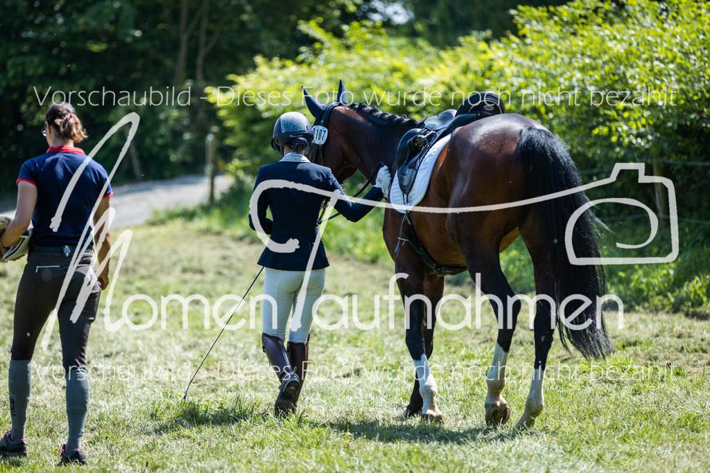 HH-Randmomente-006-2 | MomenTaufnahmen Pferdesportfotos