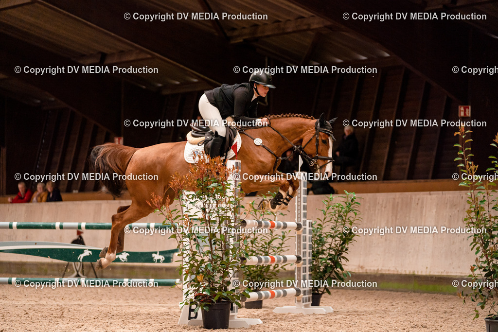 Springen Tag 1-550 | dv-media-shop - Realisiert mit Pictrs.com