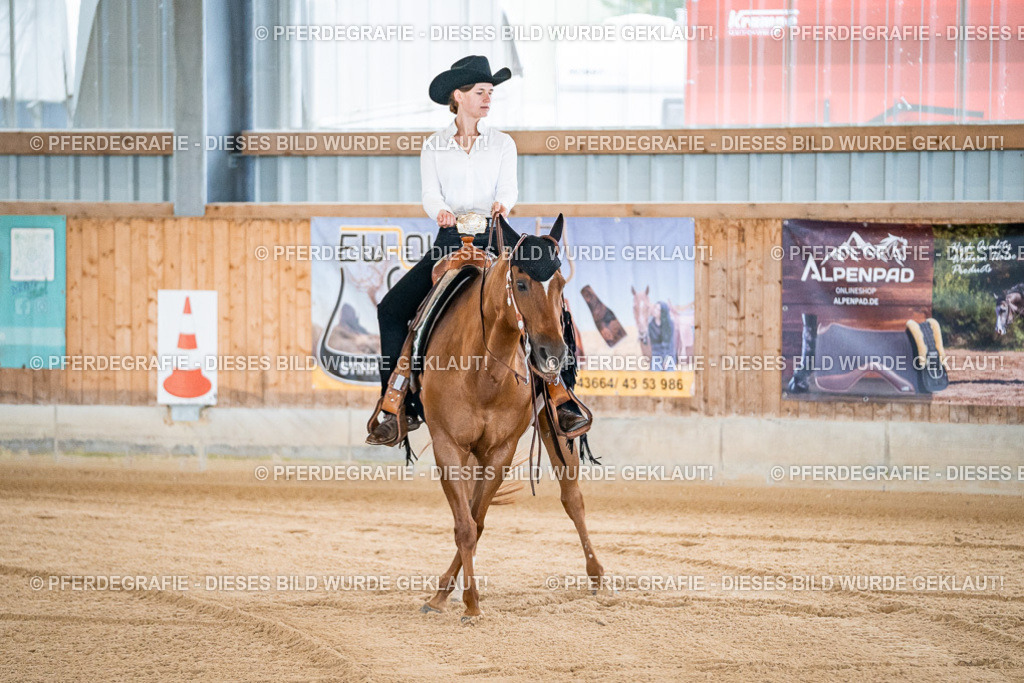 DSC01172 | Pferdegrafie