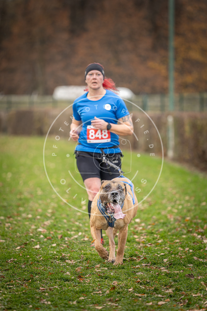 CaniXpix_DV3A6531 | Hundefotografie, Tierfotograf, Pfotenfotografie, Fotoshooting Hund, Hunde Portrait, Hundesport, Hundeportraits, Heideshooting, Hunde, Sportfotograf, Hundefotograf, Turnierhundsport, THS,  - Realisiert mit Pictrs.com