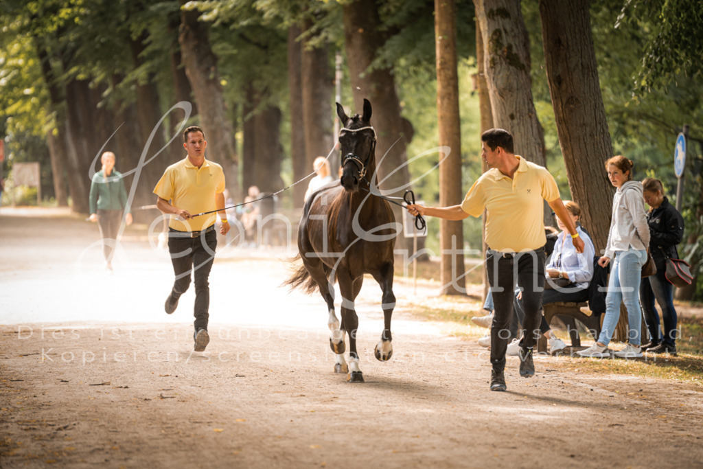 FrPfM00076 | Leoni Ertmer Photography - Realisiert mit Pictrs.com