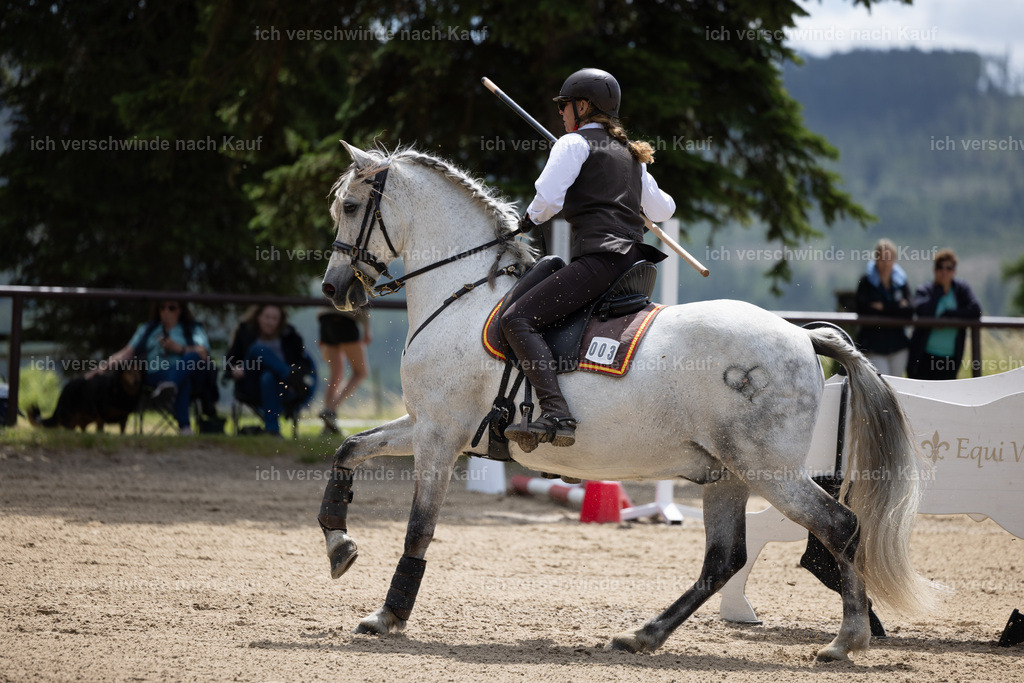 Masterclass_stoibphotography_C2_C8038.CR3 | working equitationturnier fotograf videograf stoibphotography marixx film working equitation deutschland reitsport turnierfotografie eventfotografie equestrian events