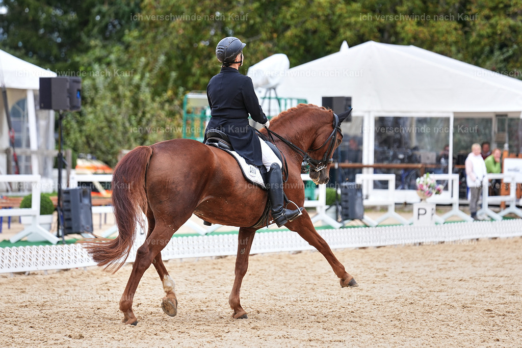 6-090-AMATUER-DRESSUR S_  -Marixx-3745 | working equitationturnier fotograf videograf stoibphotography marixx film working equitation deutschland reitsport turnierfotografie eventfotografie equestrian events
