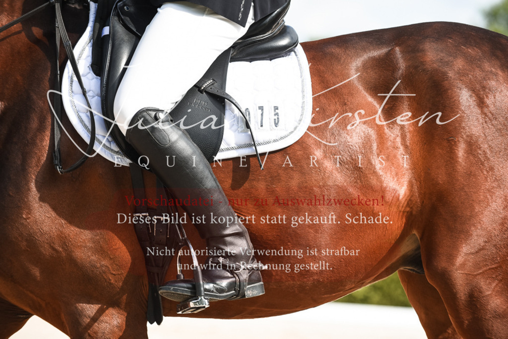 20230518_JK-Röhrsdorf-12-0184 | Pferde- und Turnierfotografie in Westsachsen. Pferdeportraits, Auftragszeichnungen und intuitive Kunst.