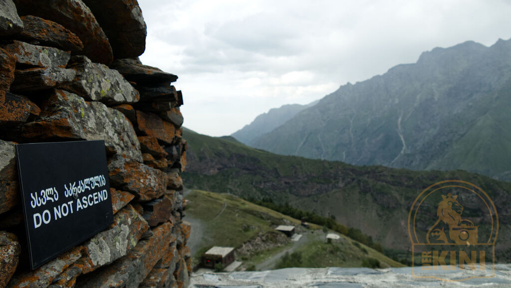 P2200083-1 | Foto, Natur, Tiere, Urlaub, Georgien,  - Realisiert mit Pictrs.com