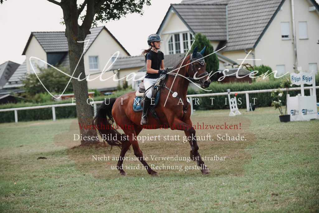 DSC_5724 | Pferde- und Turnierfotografie in Westsachsen. Pferdeportraits, Auftragszeichnungen und intuitive Kunst.