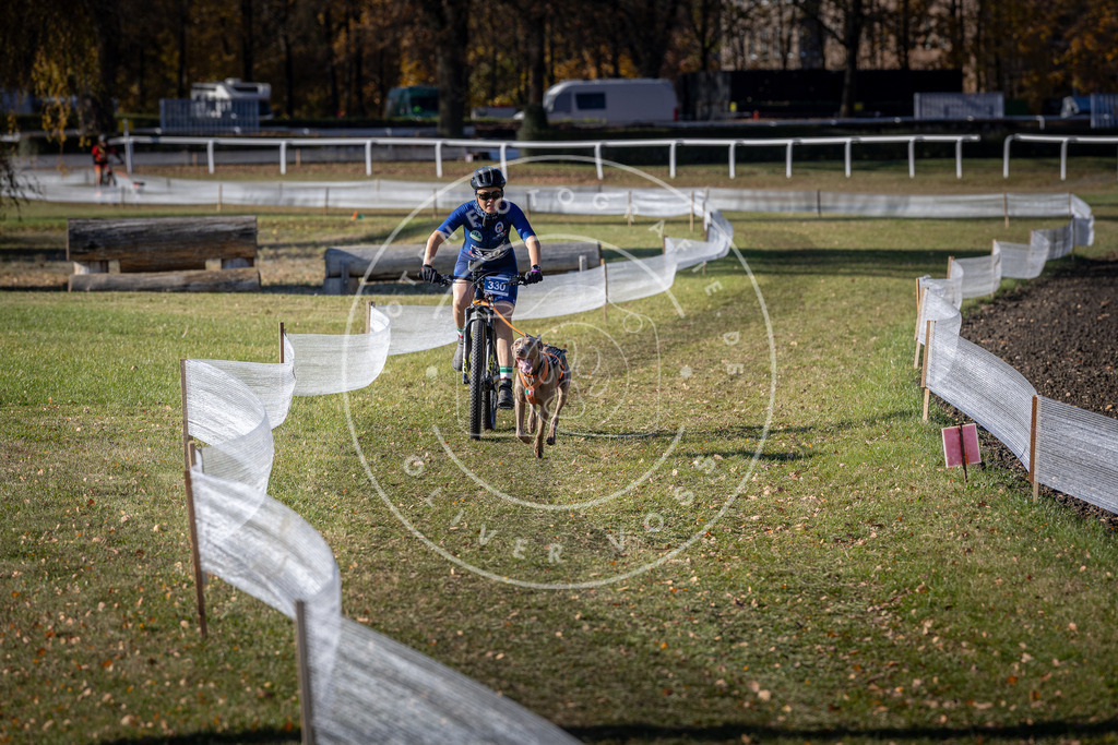 CaniXpix_DV3A6717 | Hundefotografie, Tierfotograf, Pfotenfotografie, Fotoshooting Hund, Hunde Portrait, Hundesport, Hundeportraits, Heideshooting, Hunde, Sportfotograf, Hundefotograf, Turnierhundsport, THS,  - Realisiert mit Pictrs.com