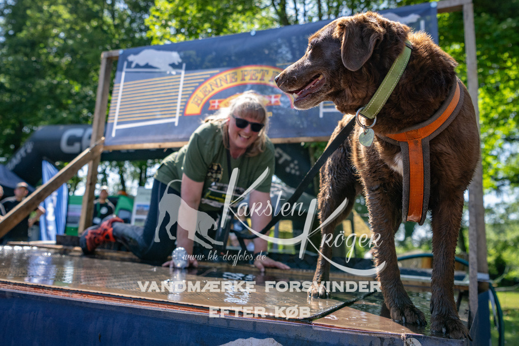 1315_ZZ90963 | kk-dogfotos