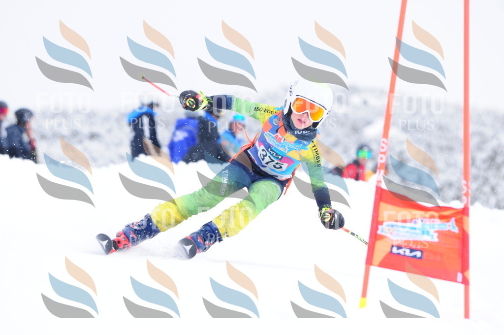 C3998 | holidayphoto