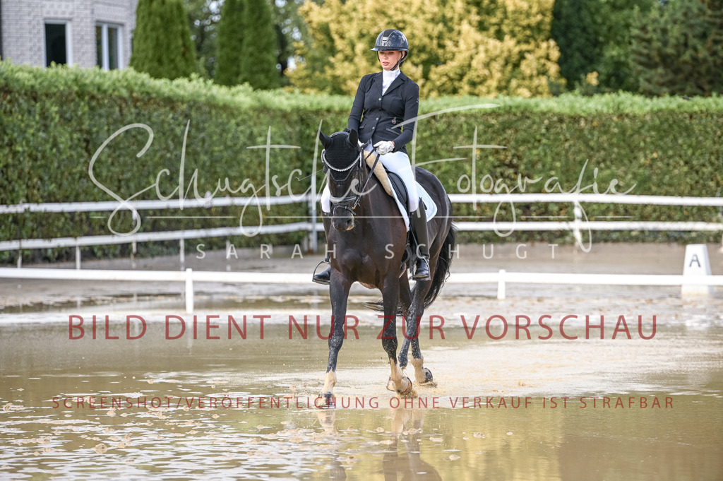 Schugtsche-Aluta25-54.Dressurprf.L1Trense-183 | Schugtsche Fotografie - Realisiert mit Pictrs.com