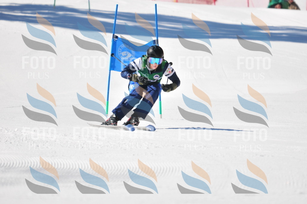 C4147 | holidayphoto