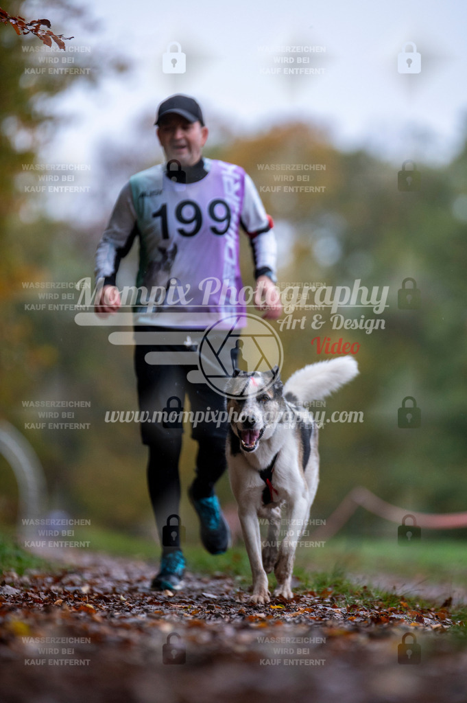 DBT_DAKM_SA_4_11_2023_Canicross-90 | PayLife
