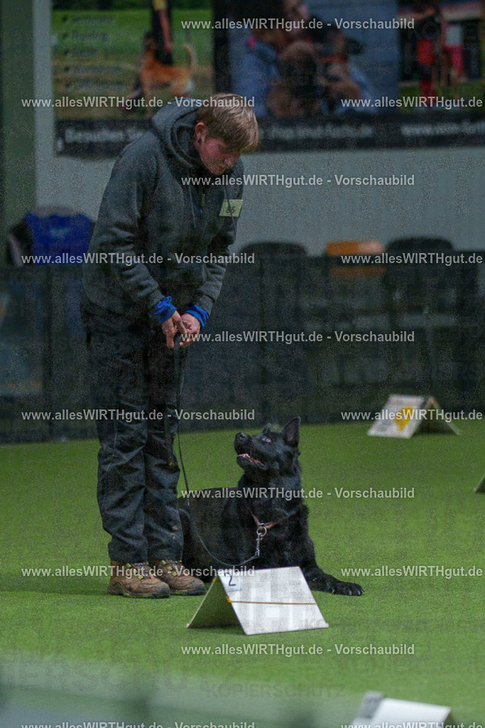 7R508083 | Professionelle Tierfotografie in Mönchengladbach von Daniel Wirth (allesWIRTHgut). Liebevolle & natürliche Bilder von Hunden & Katzen für unvergessliche Erinnerungen.