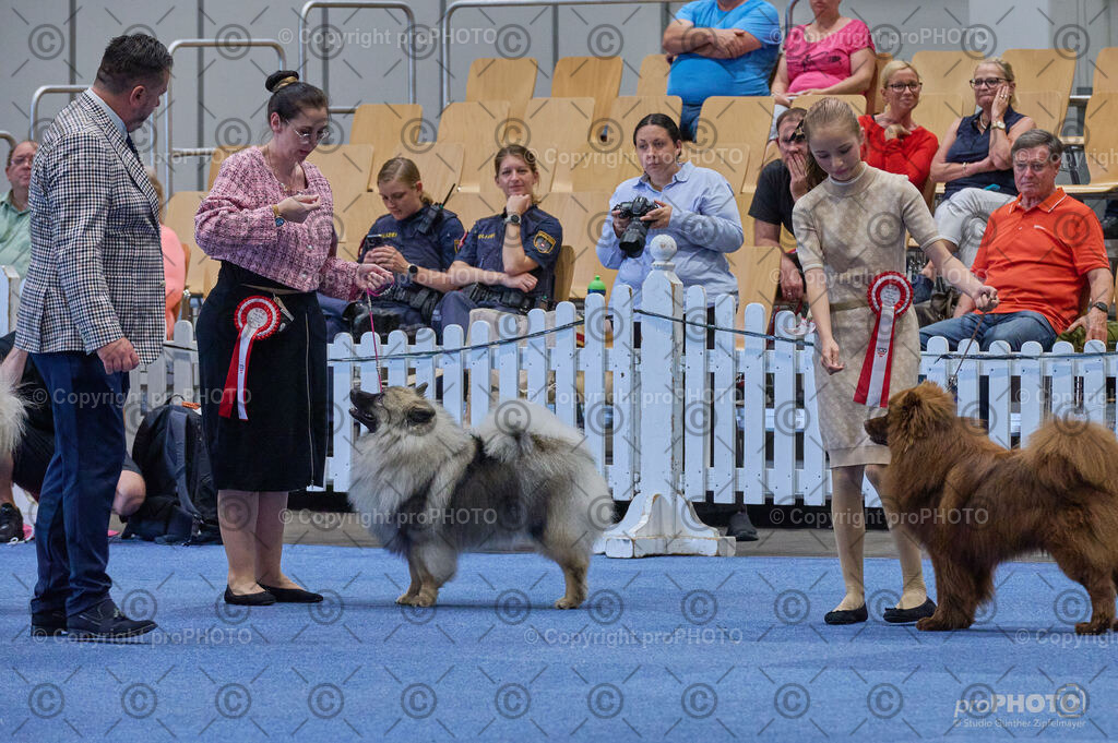 202406_ÖKV-IHA-Tulln24_DSC_5019 | proPHOTO - Realisiert mit Pictrs.com