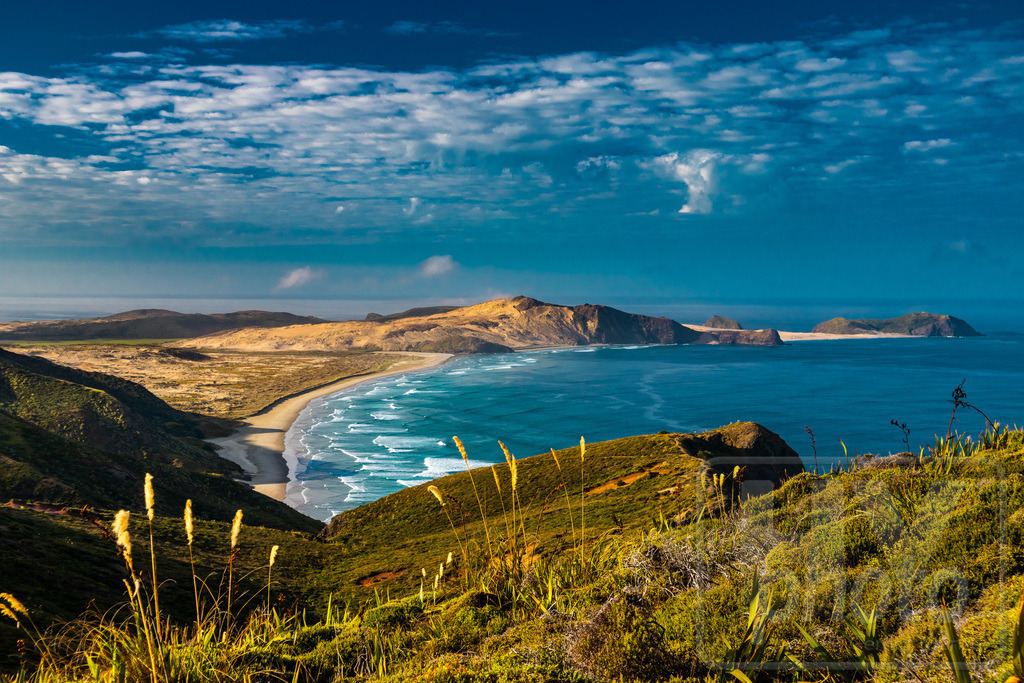 Neuseeland 2018/19 | Te Werahi Beach, Cape Maria Van Diemen, Cape Reinga, New Zealand - Realisiert mit Pictrs.com