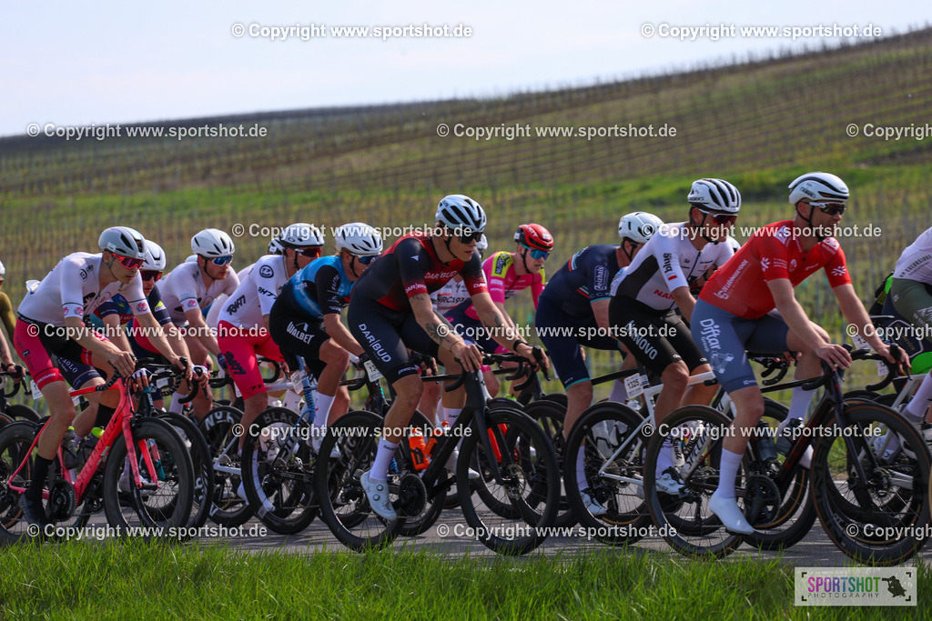 IMG_2098 | @sportshot_your_pictrs #yourpictures#roadtowm2029 #nrm #neusiedlerseeradmarathon #neusiedlersee #neusiedlerseetourismus #burgenland #mörbisch #nrm26 #burgenlandtourismus #voglundco #poweredbyburgenlandtourismus #radsport #rad #marathon #ucigranfondo #visitburgenland #ucigranfondoworldseries