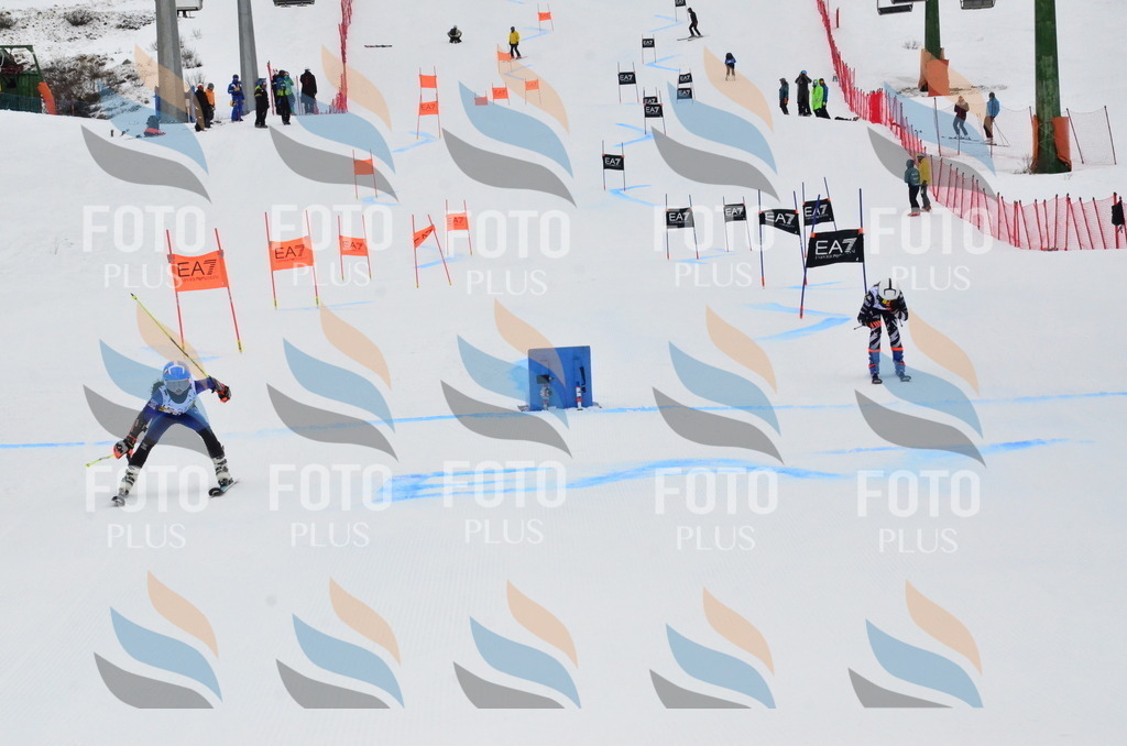 _ELE3712 | holidayphoto