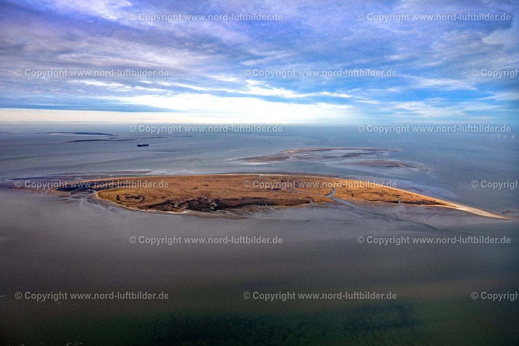 Mellum_Insel_ELS_3604040223 | BUTJADINGEN 04.02.2023 Küstenbereich der unbwohnten Insel Mellum in Wangerland im Bundesland Niedersachsen, Deutschland. Seit 1950 besteht die  Naturschutzstation Mellum. // Coastal area of the Mellum Island in Wangerland in the state Lower Saxony, Germany. Foto: Martin Elsen