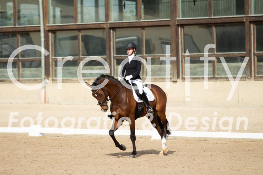 IMG_0815 | Creatify Fotografie