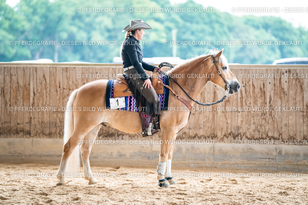 DSC07506 | Pferdegrafie