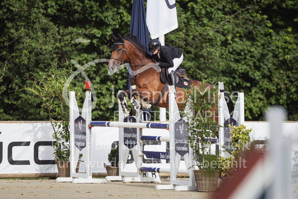 250713_BHO_M1-Spr-301 | Deine schönsten Turniermomente als professionelle Fotos! Entdecke hochwertige Pferdesport-Fotografie im Online-Shop. Jetzt Fotos finden & bestellen!