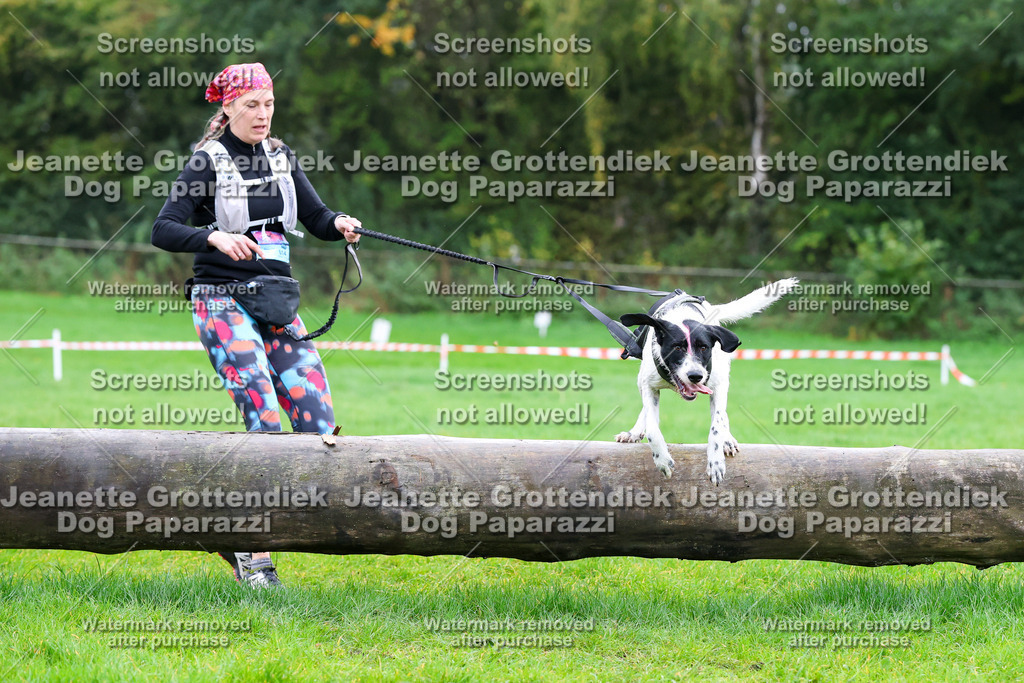 Dog Paparazzi -  SD1026-1070 | Dog Paparazzi Jeanette Grottendiek Fotografie & Videografie - Realisiert mit Pictrs.com