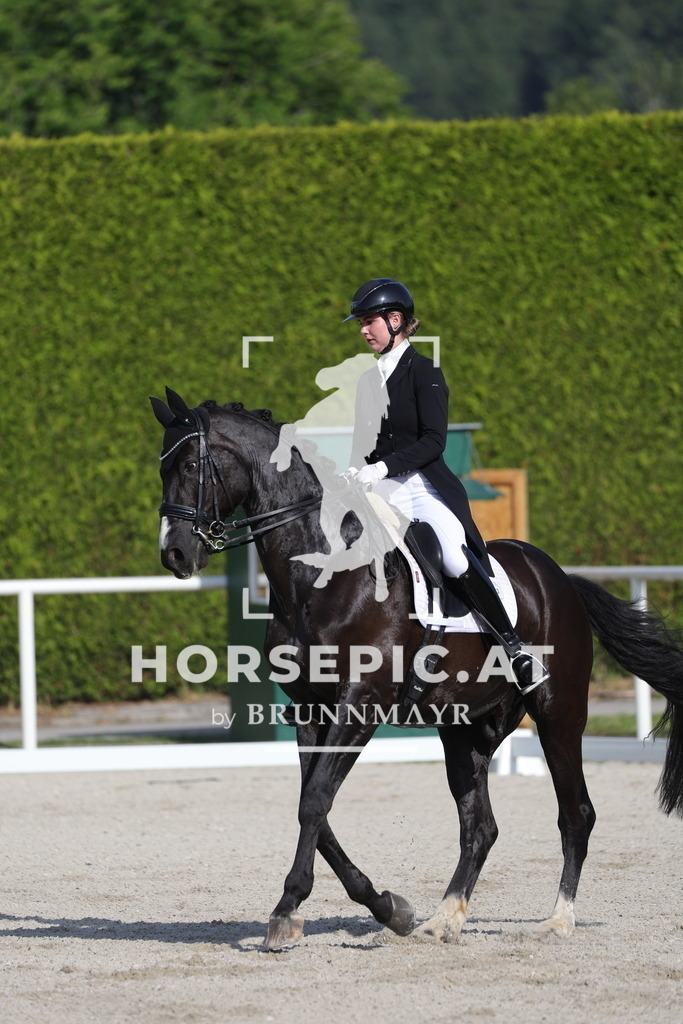 0P6A3541 | Willkommen bei Brunnmayr - Design & Fotografie – Ihrem Spezialisten für Reitturniere und Pferdeveranstaltungen in Oberösterreich, Salzburg und Bayern! Seit über 17 Jahren sind wir leidenschaftlich dabei.