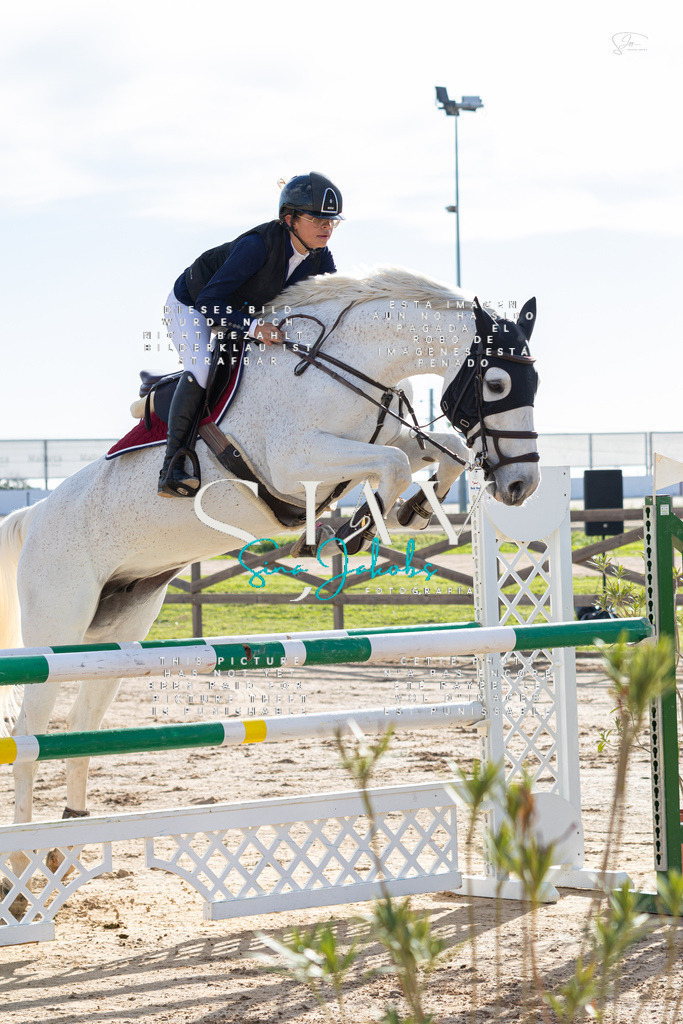 IMG_1633 | s-jay-photography - Realisiert mit Pictrs.com