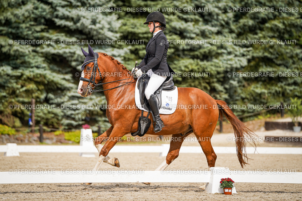 DSC06474 | Pferdegrafie