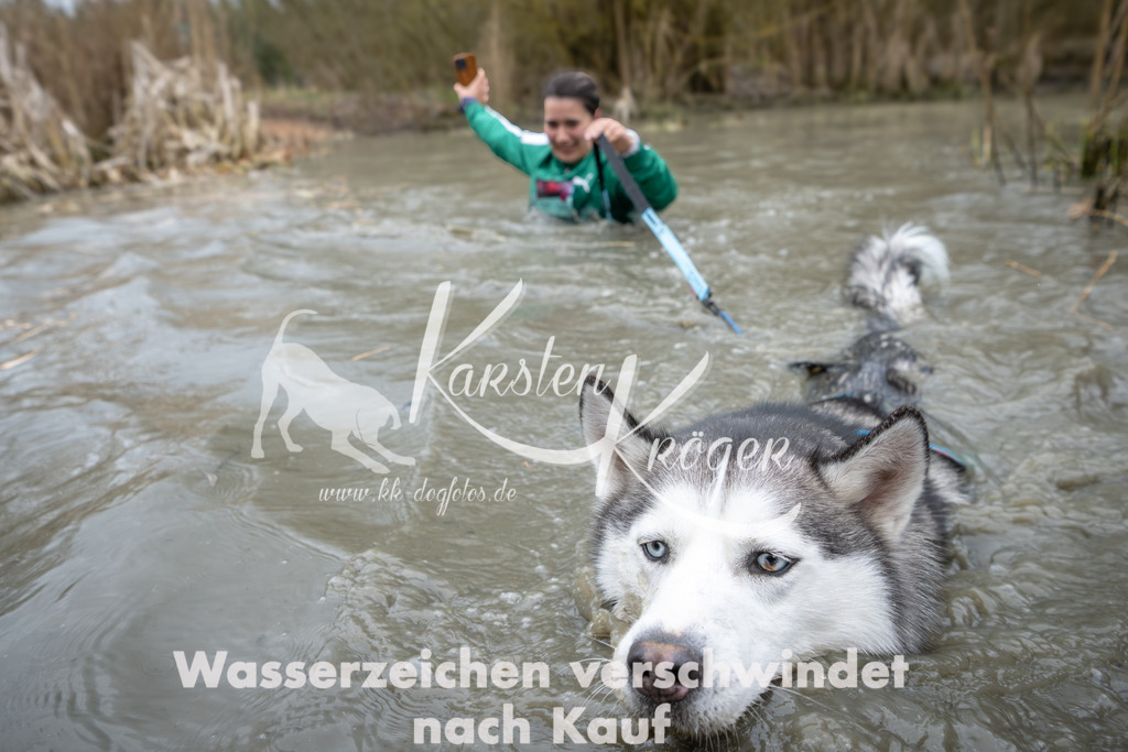 1403_ZZ95938 | kk-dogfotos