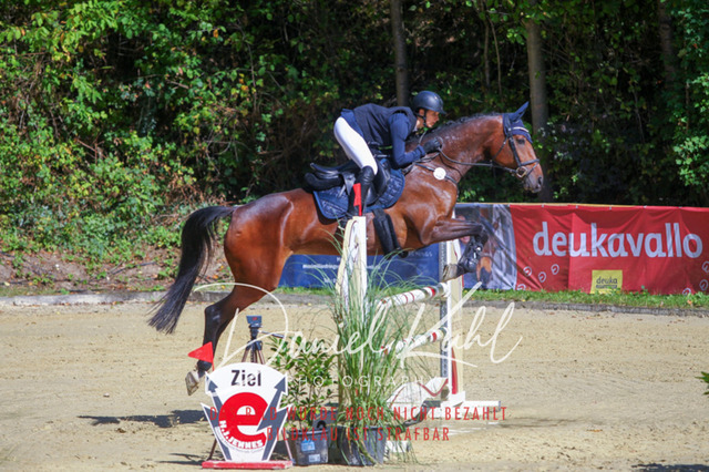 DKP43104 | Deine Turnierfotos vom Reitturnier online kaufen: Dressur, Springen & Siegerehrung. Professionelle Pferdefotografie aus dem Rheinland – als Download & Print.Alternative: Turnierfotograf für den Pferdesport: Finde deine Fotos von Dressur- und Springturnier