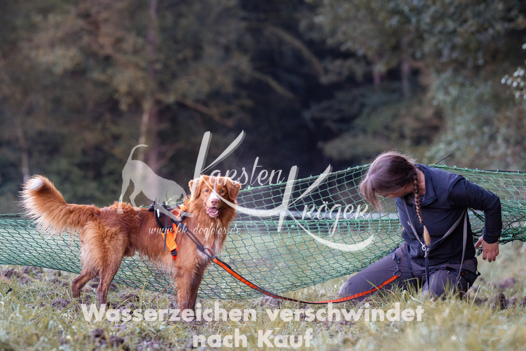 0825_ZZ90287 | kk-dogfotos