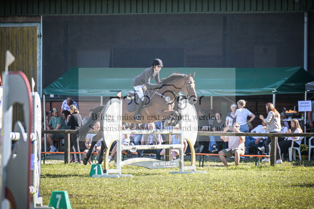 DOS_0494 | Entdecke hochwertige Reitturnierfotos von Foto Oger. Professionell, emotional und authentisch – jetzt Lieblingsmomente im Shop bestellen.Deutschlandweite Turnierfotografie. - Realisiert mit Pictrs.com