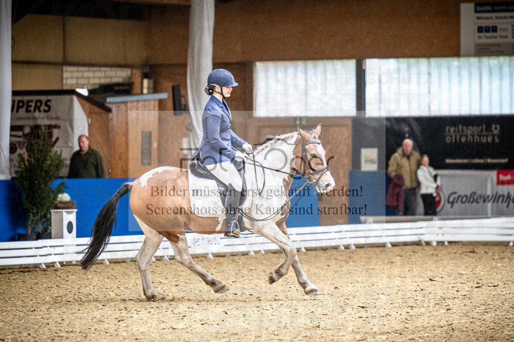 DOS_2199 | Entdecke hochwertige Reitturnierfotos von Foto Oger. Professionell, emotional und authentisch – jetzt Lieblingsmomente im Shop bestellen.Deutschlandweite Turnierfotografie. - Realisiert mit Pictrs.com