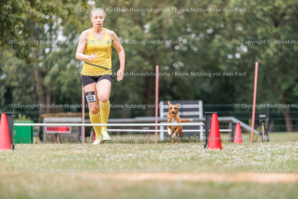 THS-Quakenbrück-2026-Nickbest-Hundefotografie-4339 | Dein Hund! Dein Moment! Deine Erinnerungen! Hundefotografie in Bremen Blumenthal. Ich fange die besonderen Momente deines Vierbeiners ein – ob Indoor mit Blitzanlage oder in der freien Natur. Sicher dir dein Moment und dein Termin für eure Erinnerungen.