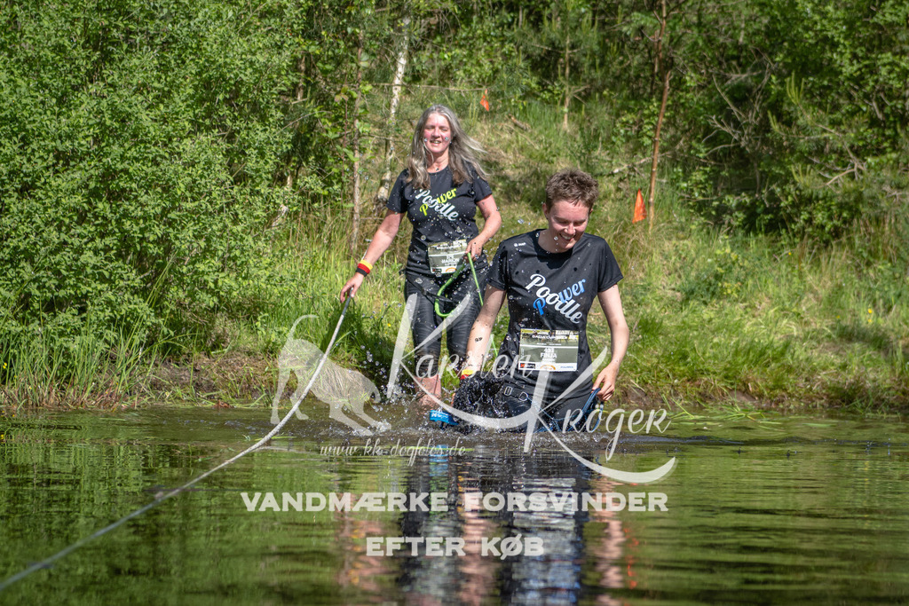0950DKK9_ZZ93408 | kk-dogfotos